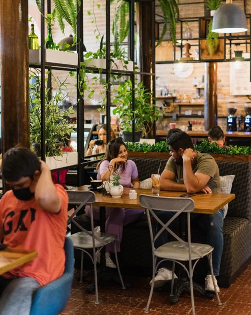 Salón interior de Cafferium con plantas, barra y personas sentadas a una mesa